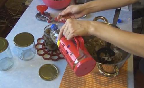 Как сохранить опята на зиму для использования в различных блюдах. Маринованные опята на зиму — самые вкусные рецепты приготовления